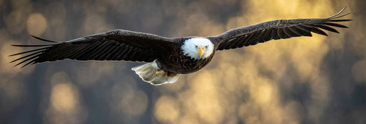 Centerport “Mom”